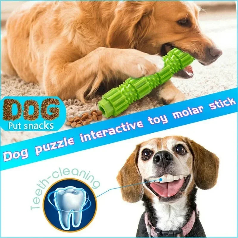Dog Chew Toys