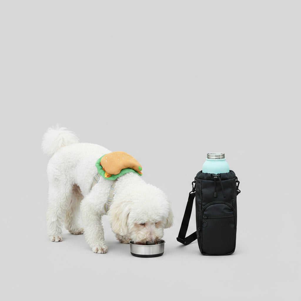 32Oz Portable 3 in 1 Pet Water Bottle