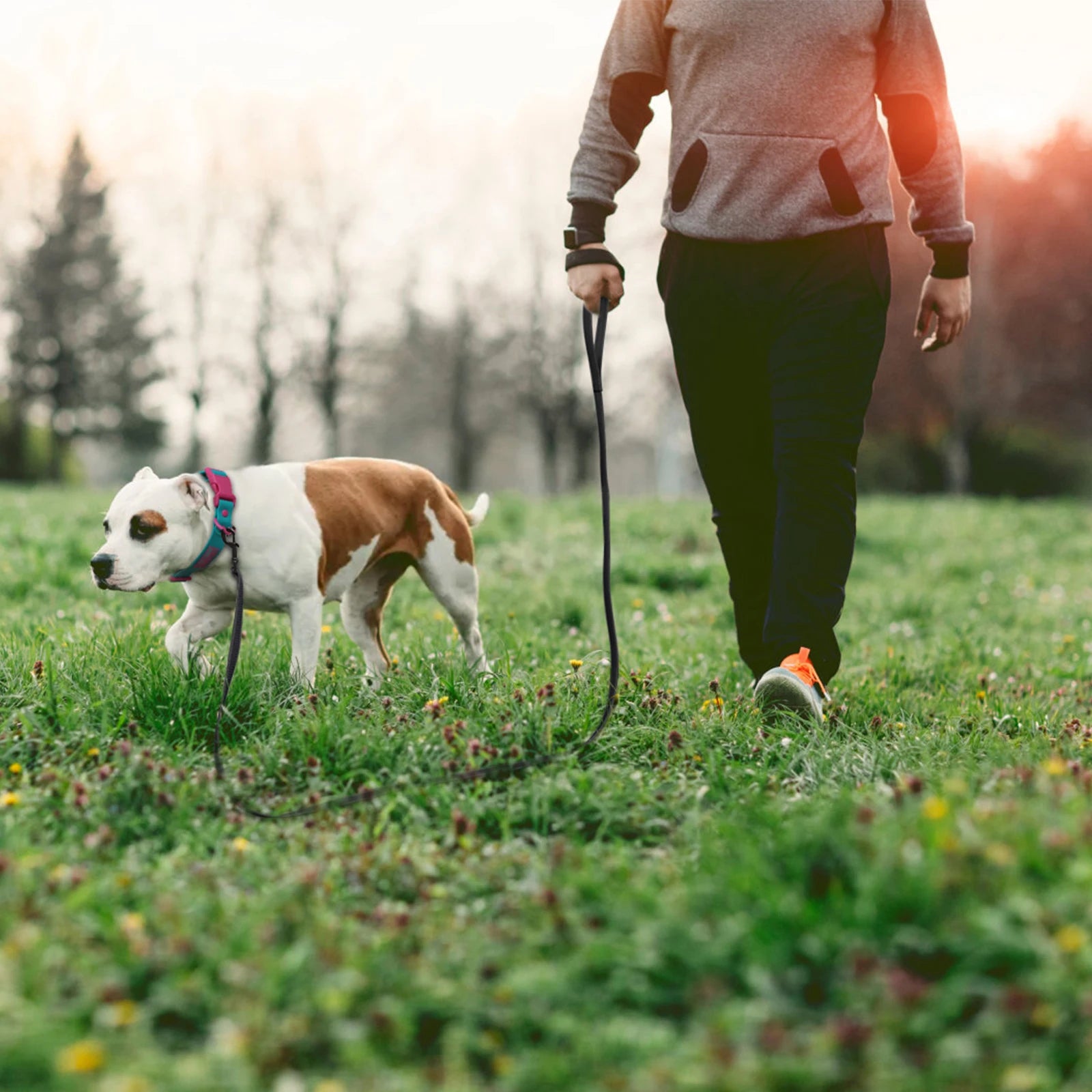 SleekDog Leash